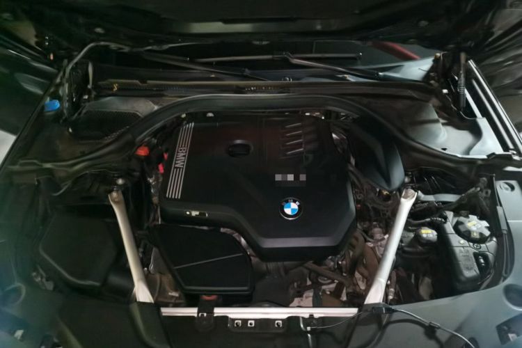 Used BMW 5 Series 2021 530Li Luxury Edition Premium Package Engine Bay