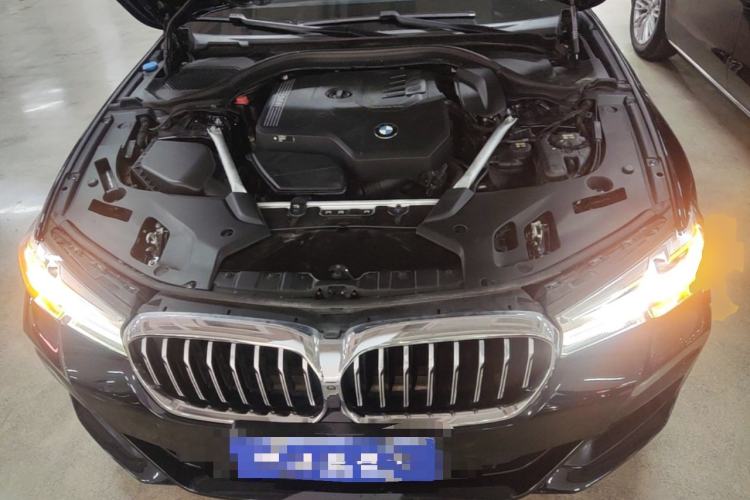 Used BMW 5 Series 2021 Restyled 530Li Luxury Edition M Sport Package Engine Bay