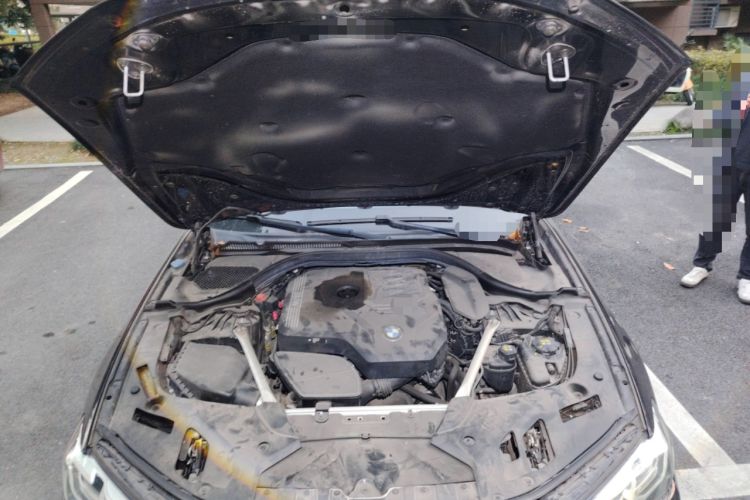 Used BMW 5 Series 2021 Restyled 530Li Leading Edition Luxury Package Engine Bay