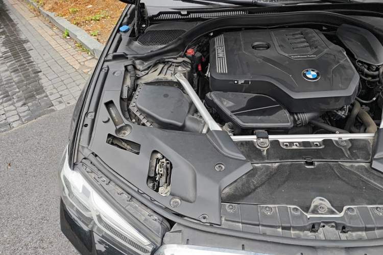 Used BMW 5 Series 2021 530Li Luxury Edition M Sport Package Engine Bay Right