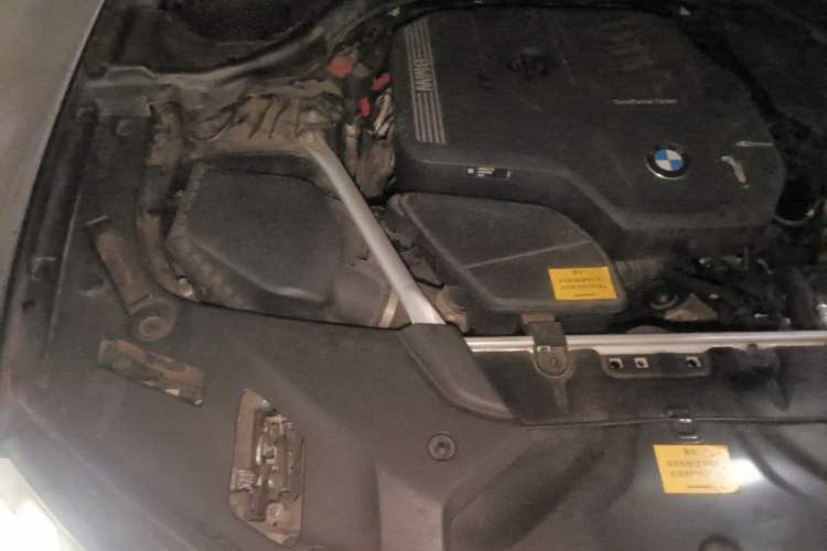 Used BMW 5 Series 2021 530Li Luxury Edition M Sport Package Engine Bay Right