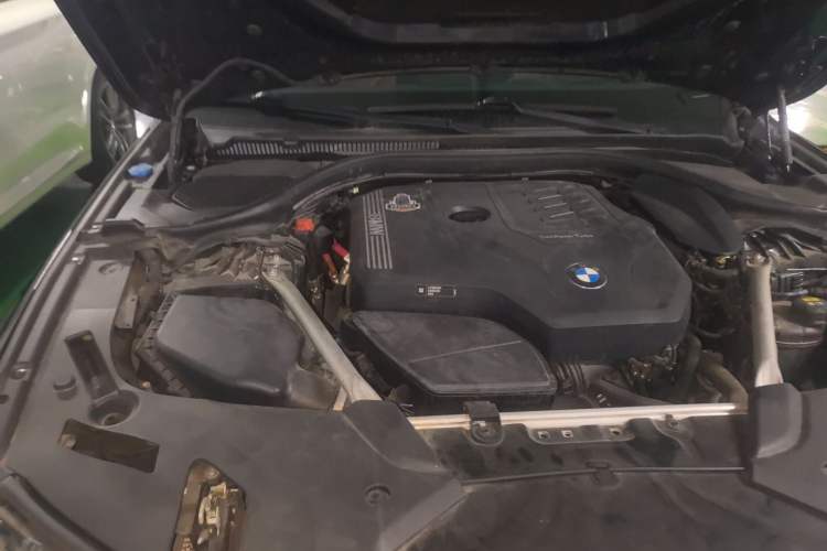 Used BMW 5 Series 2021 530Li Luxury Edition M Sport Package Engine Bay Right