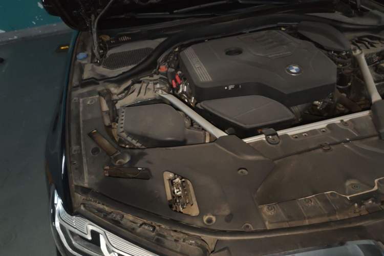 Used BMW 5 Series 2021 Facelifted 530Li Leading Edition M Sport Package Engine Bay Right