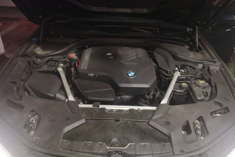 Used BMW 5 Series 2021 530Li Luxury Edition M Sport Package Engine Bay