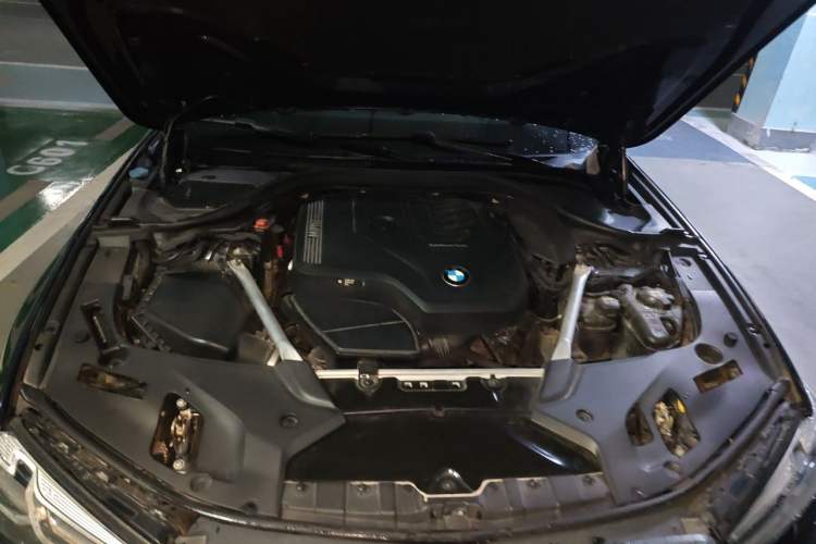 Used BMW 5 Series 2021 530Li Luxury Edition Premium Package Engine Bay