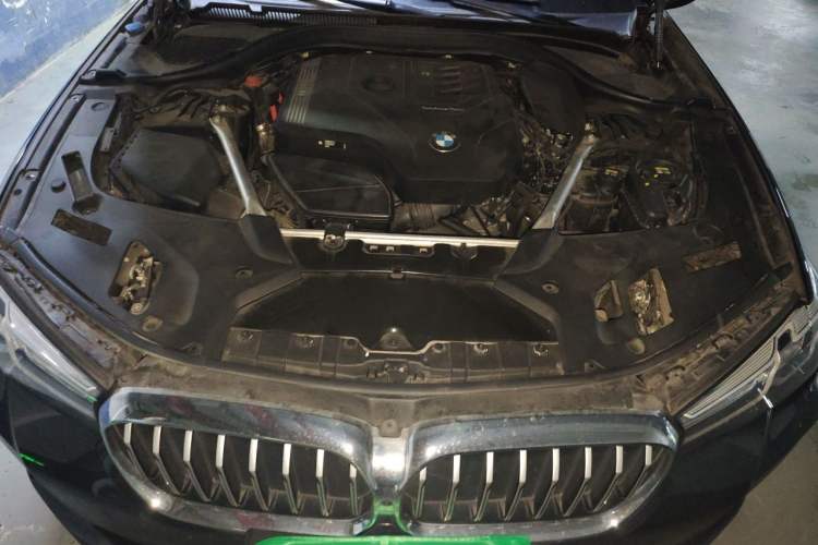 Used BMW 5 Series 2021 530Li Leading Model M Sport Package Engine Bay