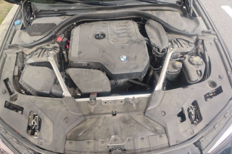 Used BMW 5 Series 2021 Facelifted 530Li Leading Edition M Sport Package Engine Bay