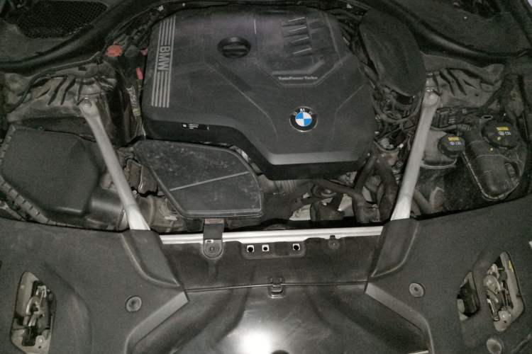 Used BMW 5 Series 2021 530Li Luxury Edition M Sport Package Engine Bay