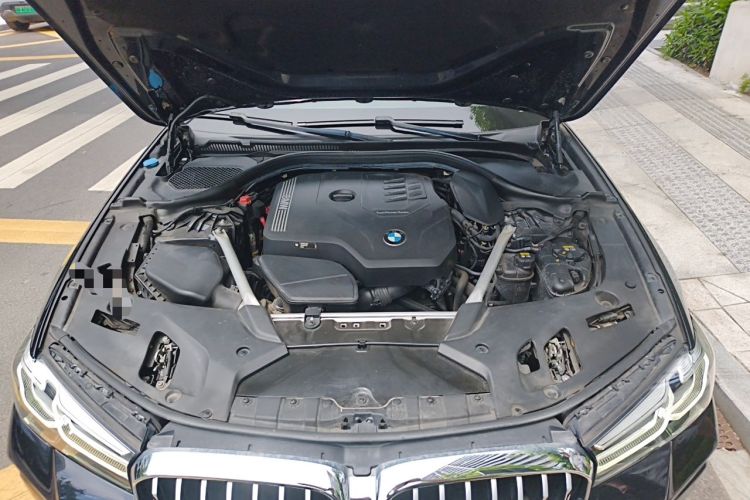 Used BMW 5 Series 2021 Facelifted 530Li Leading Edition M Sport Package Engine Bay
