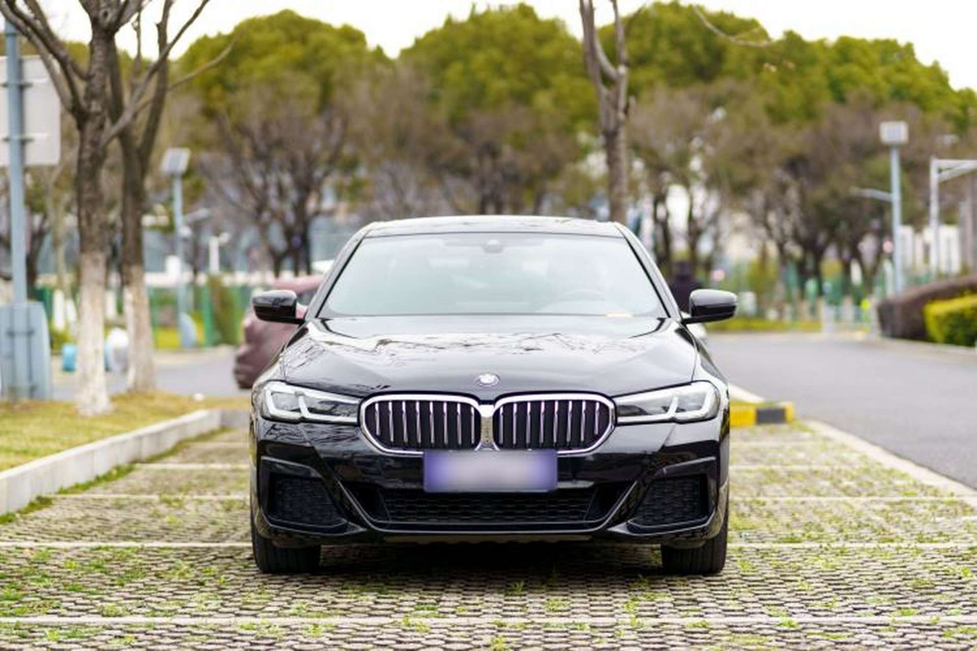 Used BMW 5 Series 2021 Facelifted 530Li Leading Edition M Sport Package Exterior 1