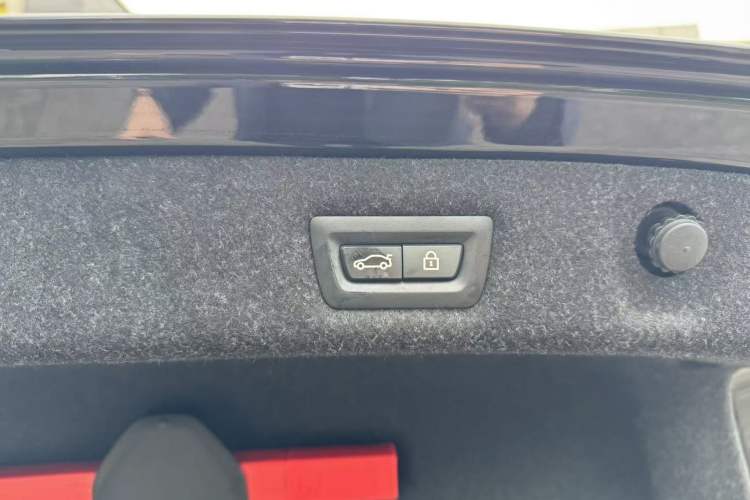 Used BMW 5 Series 2021 530Li Luxury Edition Premium Package Exterior 11