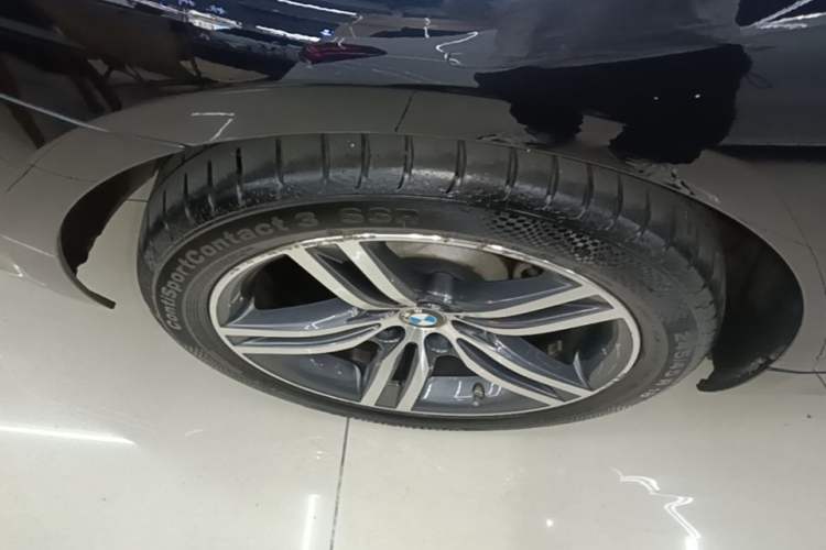 Used BMW 5 Series 2021 530Li Leading Luxury Package Exterior 4