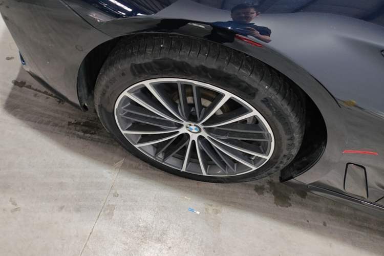 Used BMW 5 Series 2021 530Li Leading Model M Sport Package Exterior 4