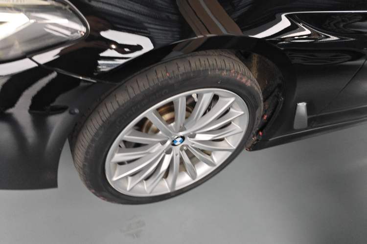 Used BMW 5 Series 2021 530Li Luxury Edition Premium Package Exterior 4