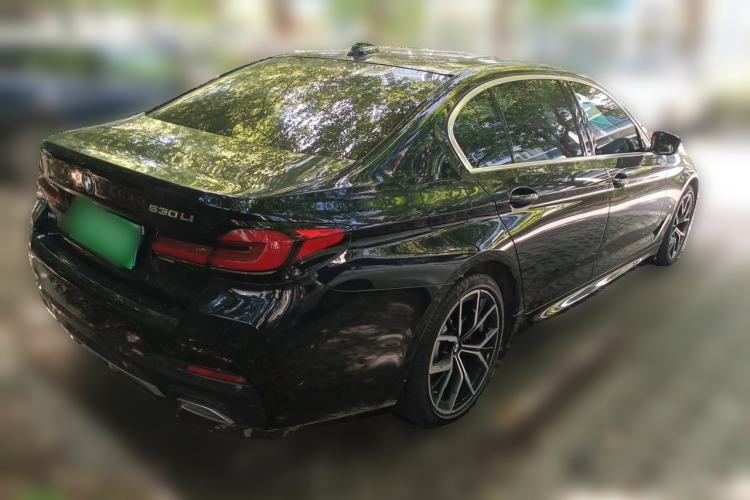 Used BMW 5 Series 2021 530Li Luxury Edition M Sport Package Exterior 5