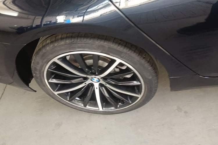 Used BMW 5 Series 2021 530Li Luxury Edition Premium Package Exterior 5
