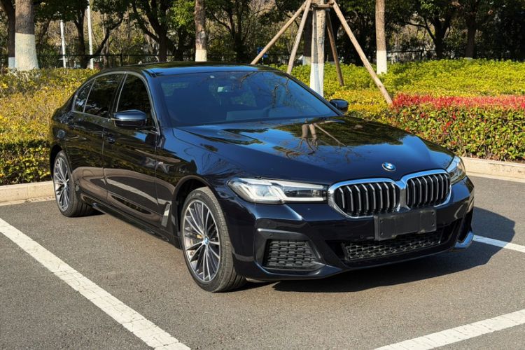 Used BMW 5 Series 2021 530Li Leading Model M Sport Package Exterior 5