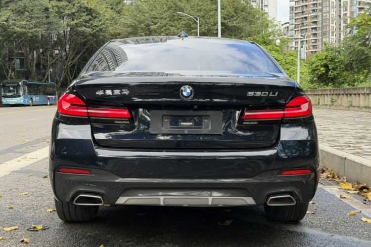 Used BMW 5 Series 2021 530Li Leading Model M Sport Package Exterior 7
