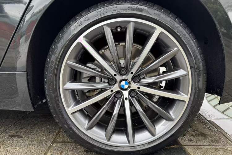 Used BMW 5 Series 2021 530Li Luxury Edition Premium Package Exterior 9