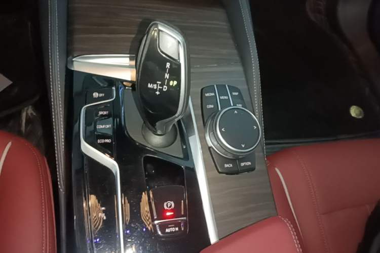Used BMW 5 Series 2021 530Li Leading Luxury Package Gear Lever