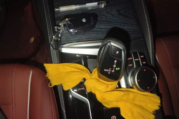 Used BMW 5 Series 2021 530Li Leading Model M Sport Package Gear Lever