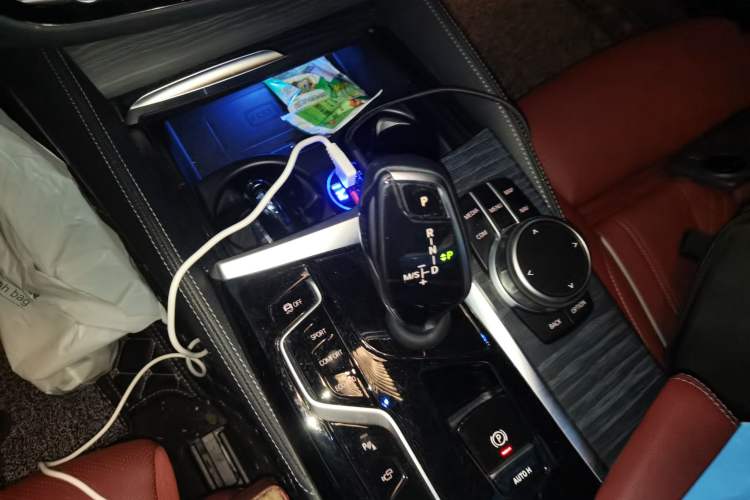 Used BMW 5 Series 2021 530Li Luxury Edition M Sport Package Gear Lever