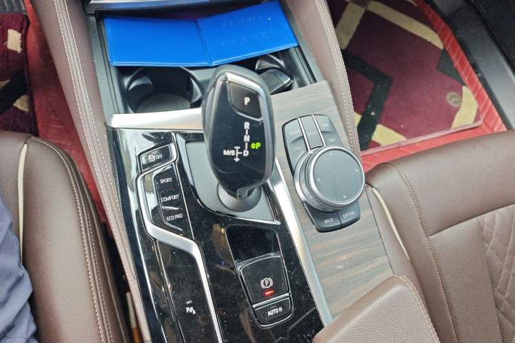 Used BMW 5 Series 2021 530Li Leading Luxury Package Gear Lever