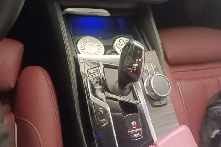 Used BMW 5 Series 2021 530Li Luxury Edition Premium Package Gear Lever