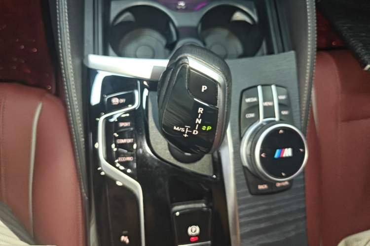 Used BMW 5 Series 2021 530Li Leading Model M Sport Package Gear Lever