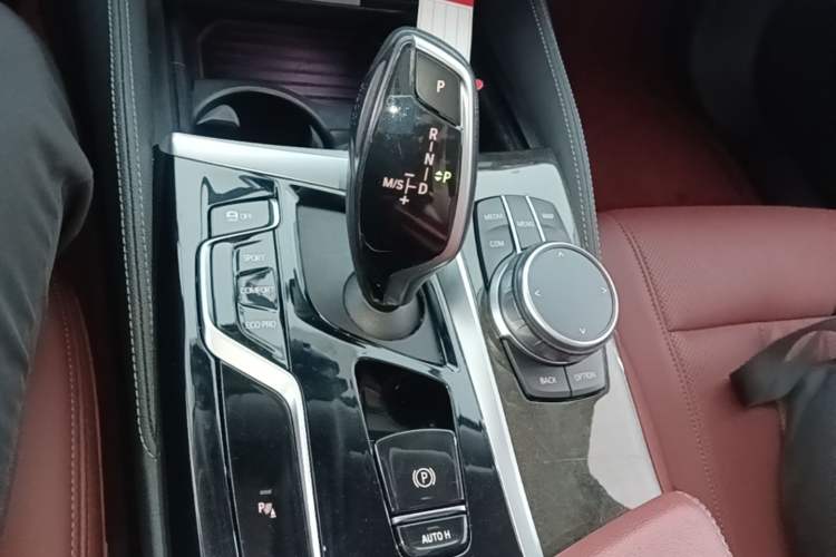 Used BMW 5 Series 2021 Updated Version 525Li Luxury Package Gear Lever