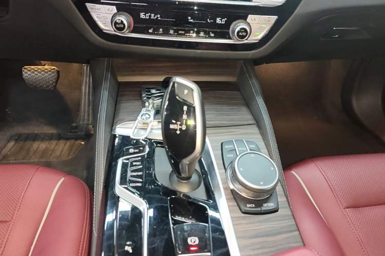 Used BMW 5 Series 2021 530Li Leading Luxury Package Gear Lever