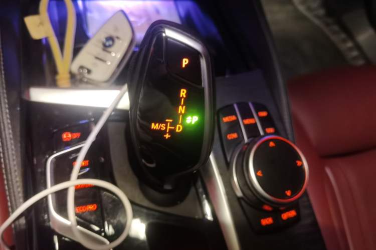 Used BMW 5 Series 2021 530Li Luxury Edition M Sport Package Gear Lever