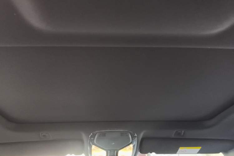 Used BMW 5 Series 2021 525Li M Sport Package Headliner