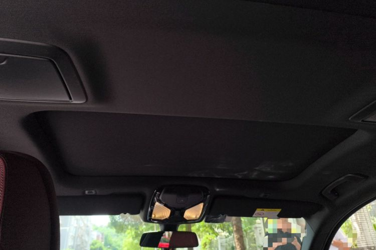 Used BMW 5 Series 2021 530Li Luxury Edition M Sport Package Headliner