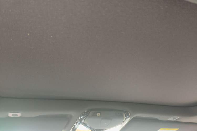 Used BMW 5 Series 2021 530Li Luxury Edition M Sport Package Headliner