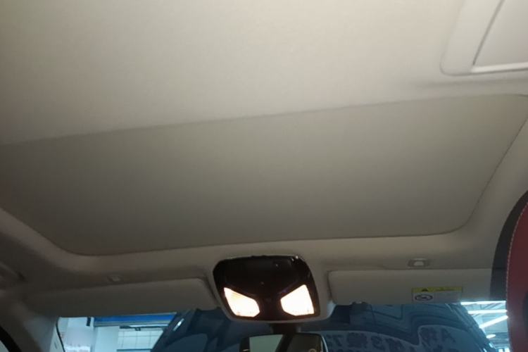 Used BMW 5 Series 2021 530Li Leading Luxury Package Headliner