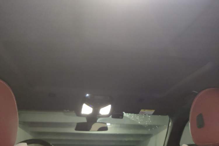 Used BMW 5 Series 2021 Facelifted 525Li M Sport Package Headliner