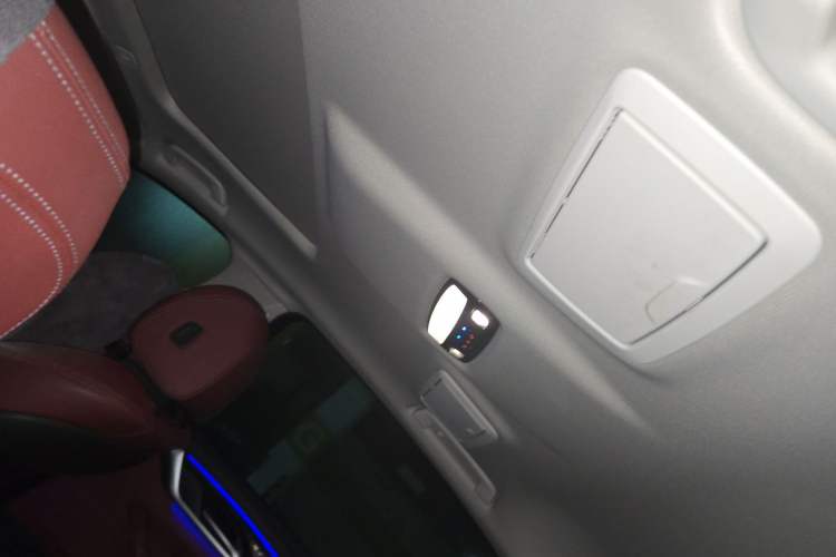 Used BMW 5 Series 2021 525Li Luxury Package Headliner