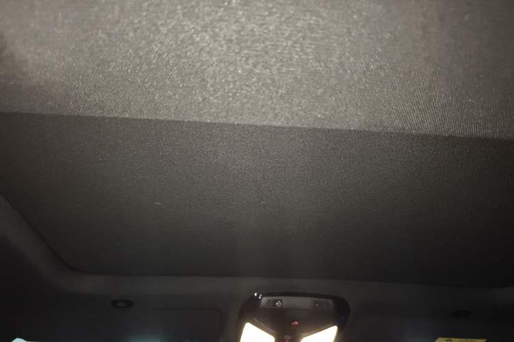 Used BMW 5 Series 2021 530Li Leading Model M Sport Package Headliner