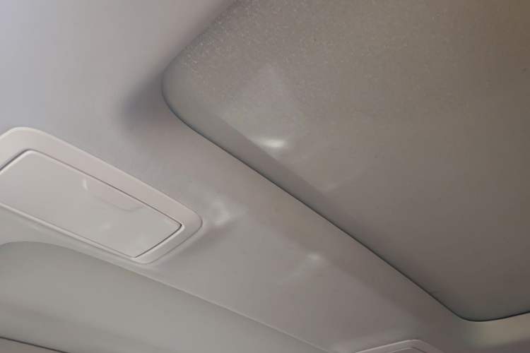 Used BMW 5 Series 2021 530Li Leading Luxury Package Headliner