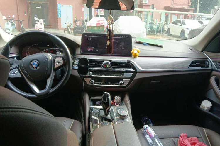 Used BMW 5 Series 2021 530Li Leading Luxury Package Headliner