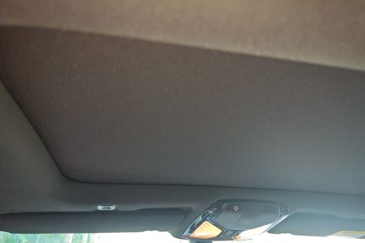 Used BMW 5 Series 2021 Restyled 530Li Luxury Edition M Sport Package Headliner