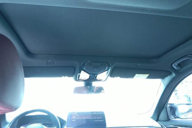 Used BMW 5 Series 2021 525Li M Sport Package Headliner