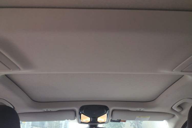 Used BMW 5 Series 2021 530Li Leading Luxury Package Headliner