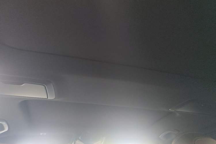 Used BMW 5 Series 2021 530Li xDrive M Sport Package Headliner