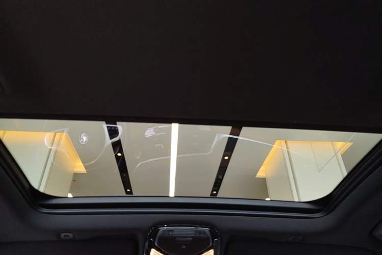 Used BMW 5 Series 2021 530Li xDrive M Sport Package Headliner