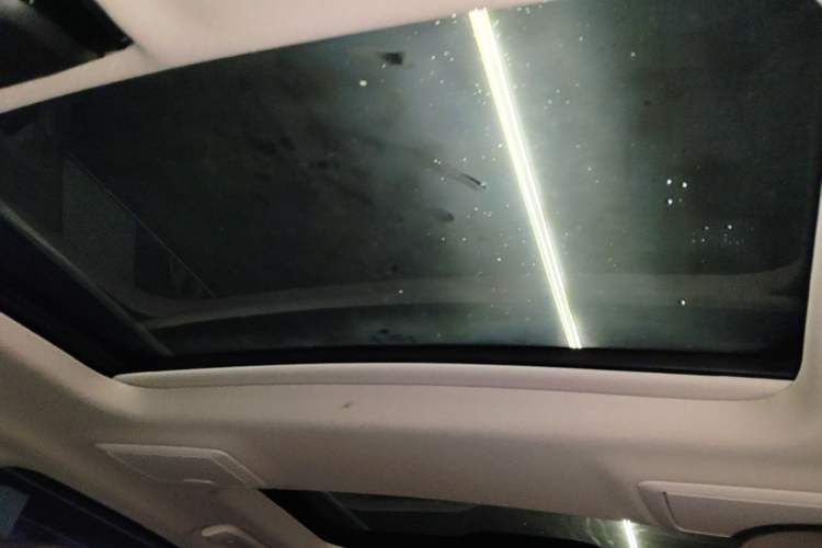 Used BMW 5 Series 2021 530Li Leading Luxury Package Headliner