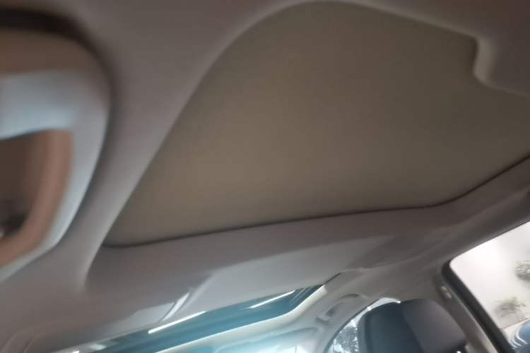 Used BMW 5 Series 2021 530Li Luxury Edition Premium Package Headliner