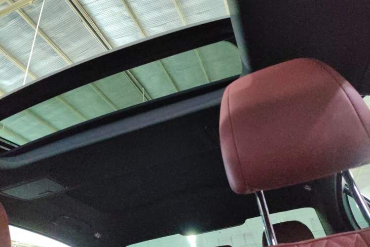 Used BMW 5 Series 2021 530Li Leading Model M Sport Package Headliner