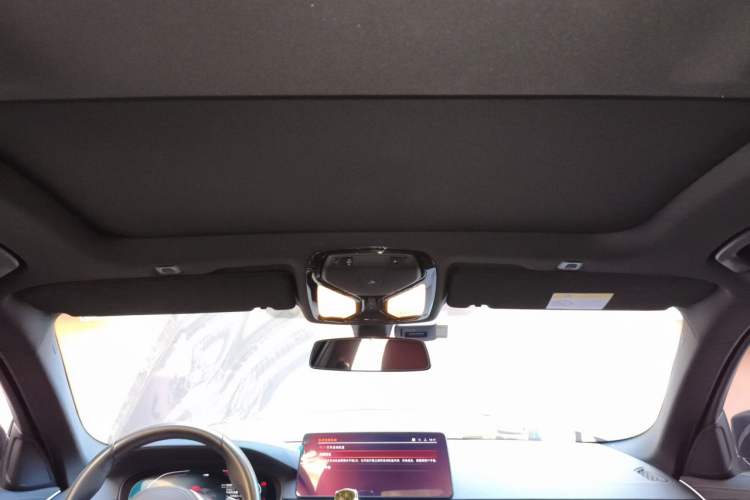 Used BMW 5 Series 2021 530Li xDrive Luxury Package Headliner